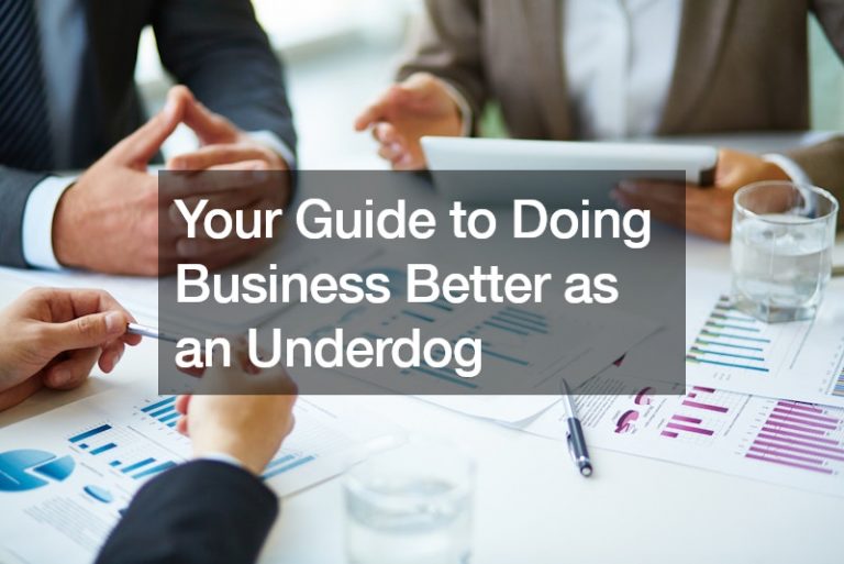 Your Guide to Doing Business Better as an Underdog